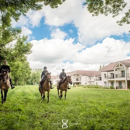 Le Grand Pavillon Chantilly 酒店